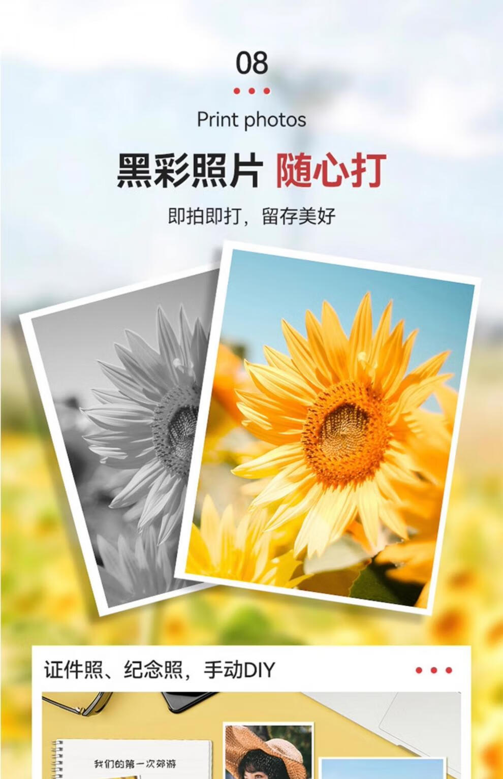 5ca3184b9e74bbc3.jpg