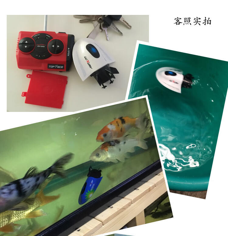 2d472c7162007118.jpg' style=