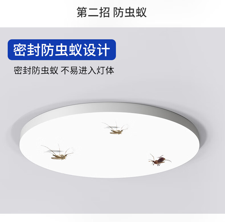 44ca95113dee61b4.jpg