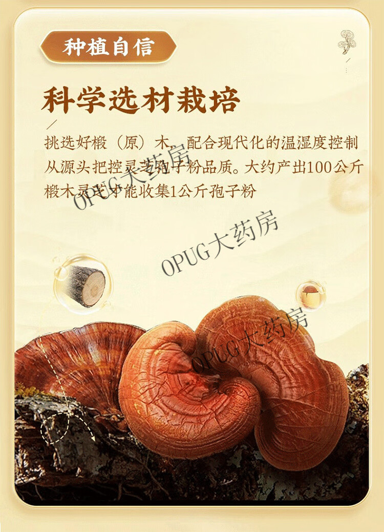 bece3df5604c1b9e.png