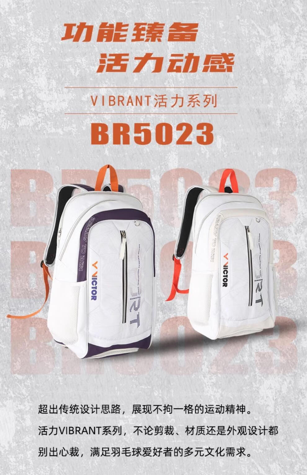 d62c9ba18595cd84.jpg