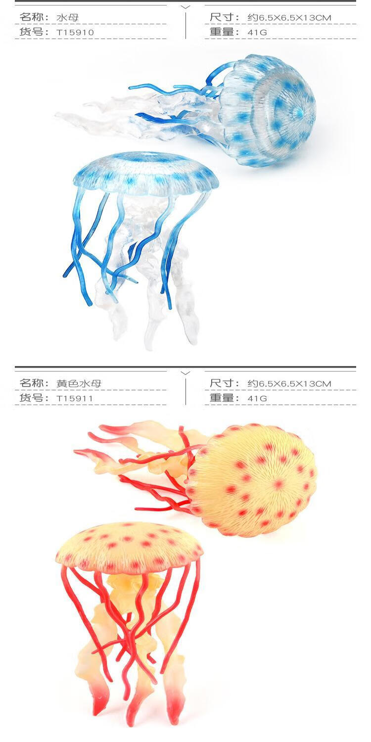 a2076c99f3258d5e.jpg