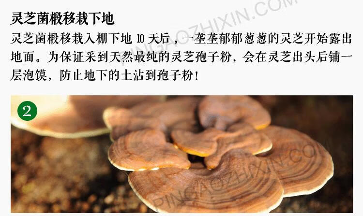 31d5f5cdee368608.jpg