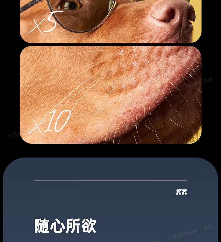 05a633f6bad893cd.jpg