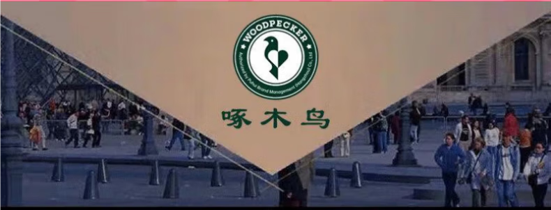 8c1a8a7ade44ae19.png