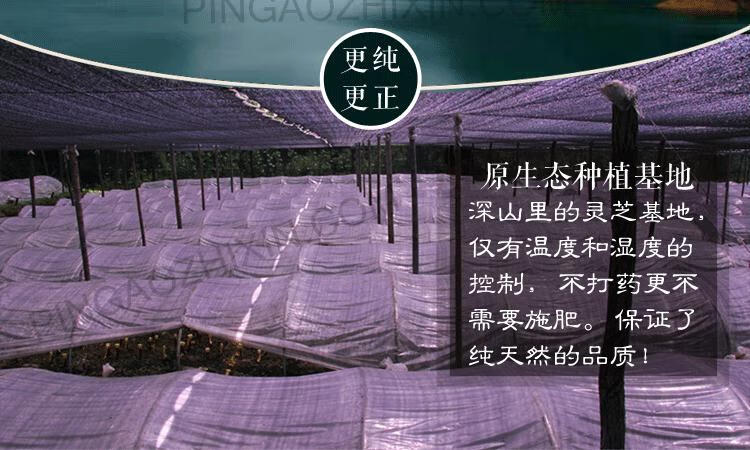 135964be3ab9b088.jpg