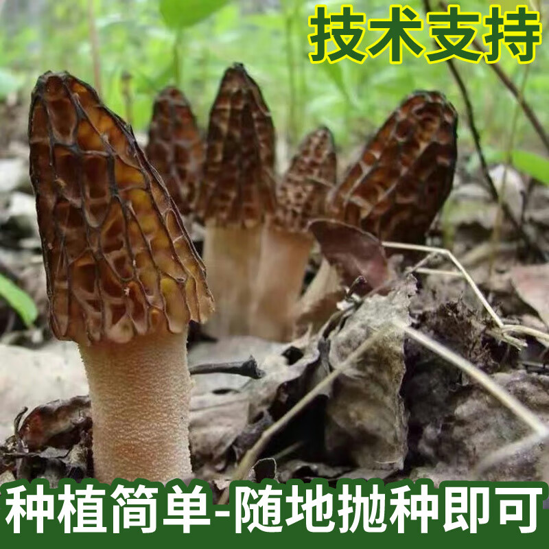 e75d1cdc20944514.jpg