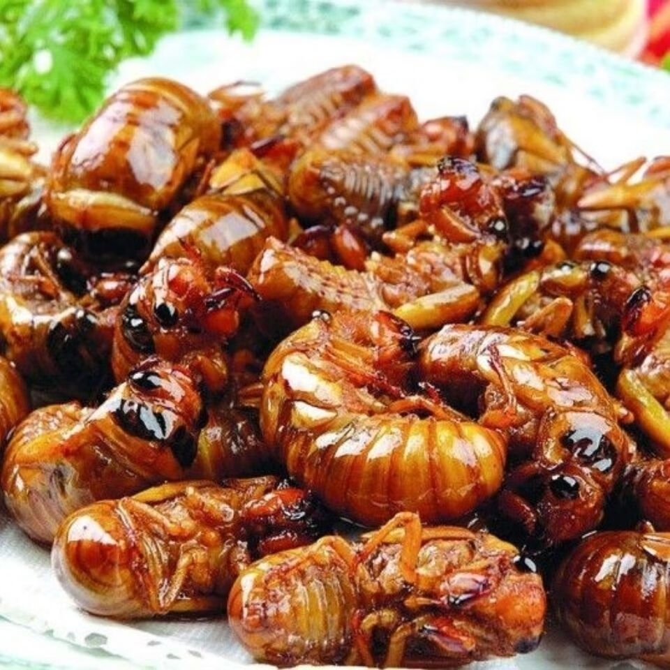 金蝉知了猴 多口味 油炸知了猴山东特产炸金蝉新鲜蝉蛹即食唐僧肉香辣