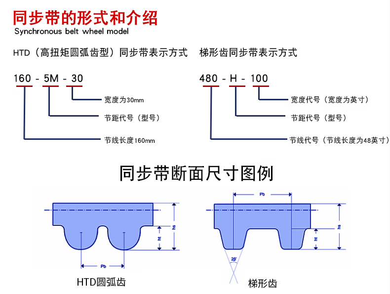 fffa7513d0a86377.png