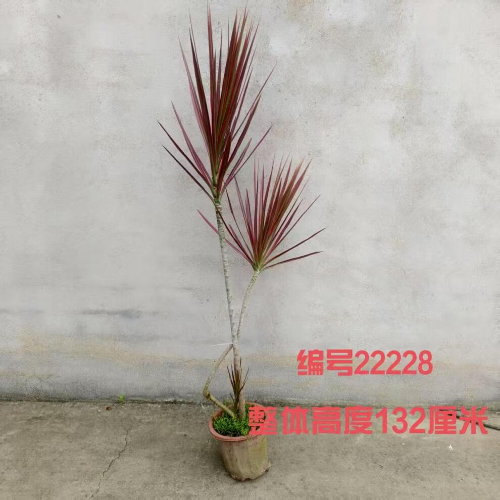 73c1d2f337dbd553.jpg