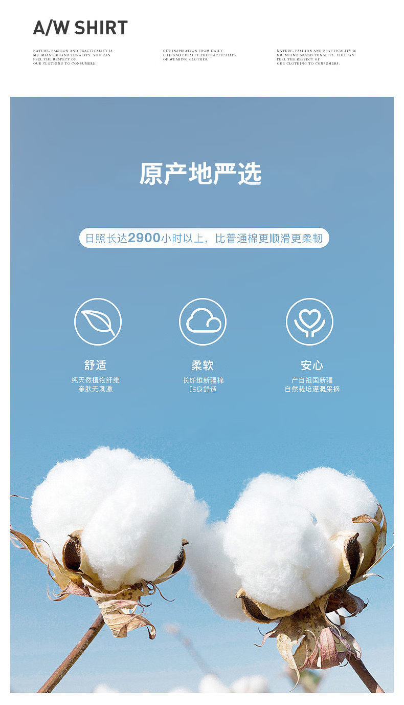 5e266fc6c827b848.png