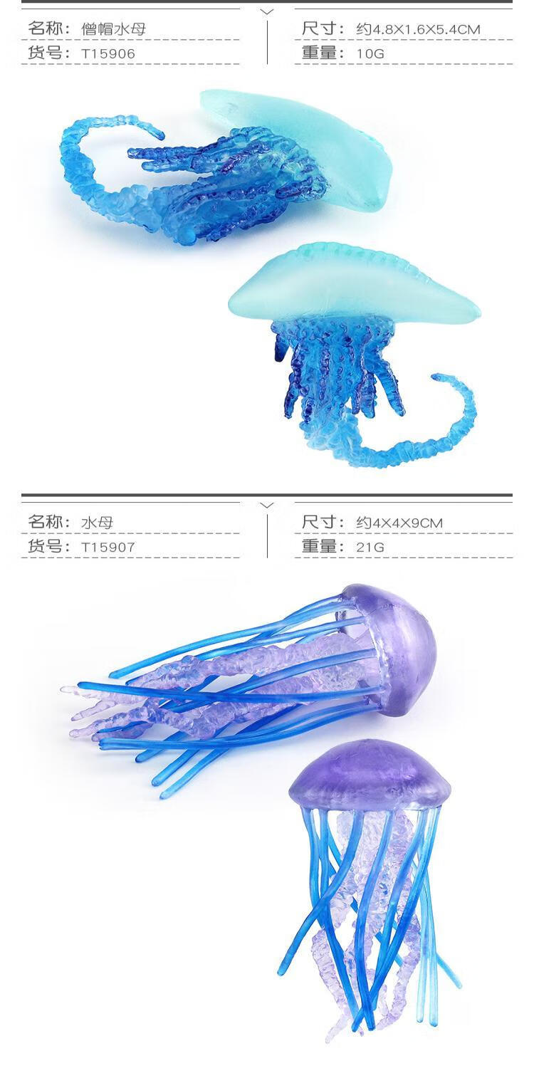 2112ff321b559fa9.jpg