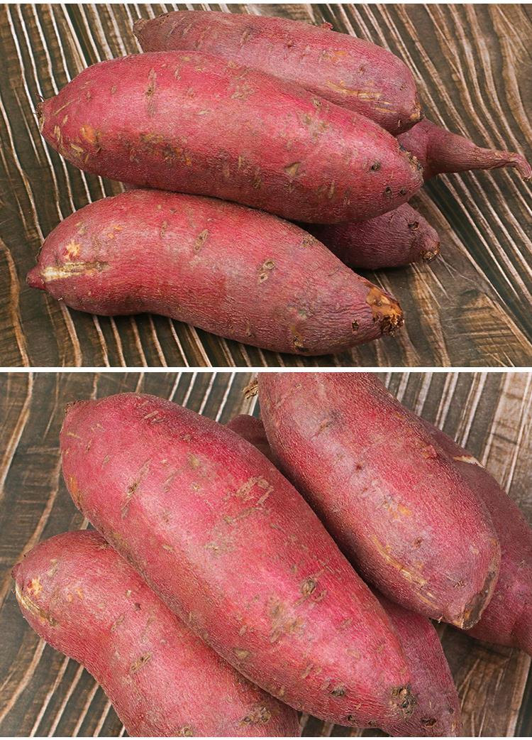 日本玛莎莉红薯 新鲜蜜薯番现挖黄心板软糯栗香甜地瓜烤山芋整箱 精选