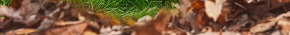 f6d86fd0a20244d7.jpg