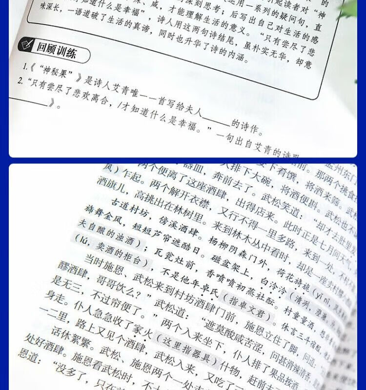 c8c27226ce3e6772.jpg