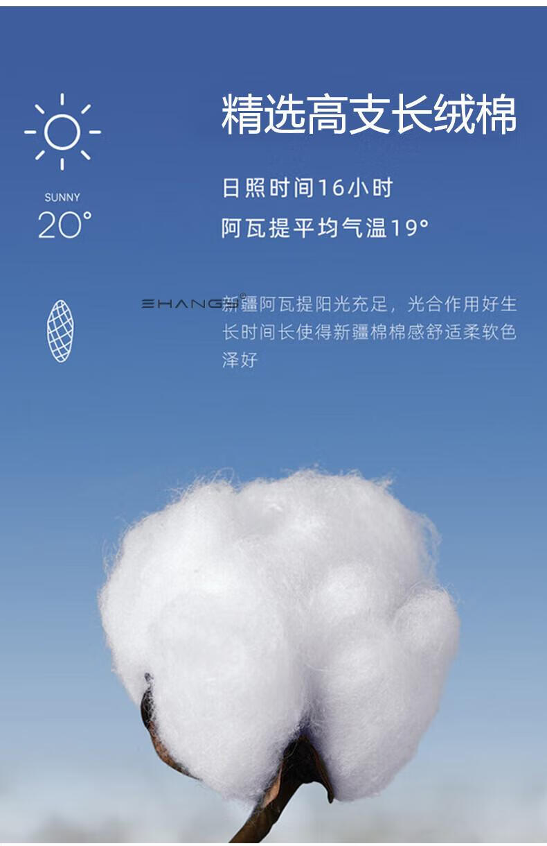 5a5518b3f8d87b8d.jpg