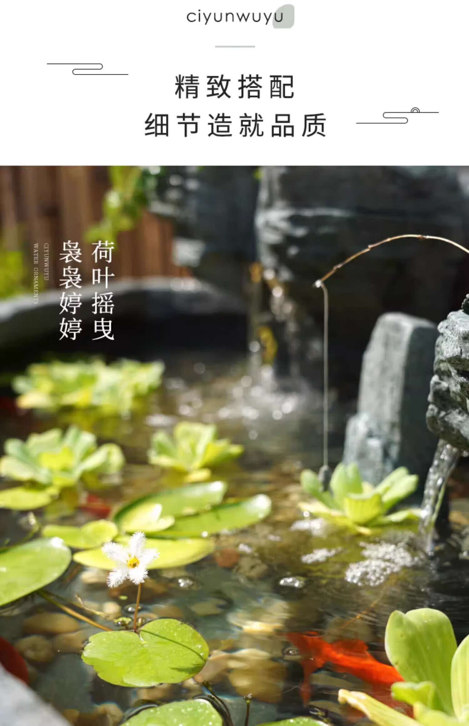 5dba17365df2886d.jpg