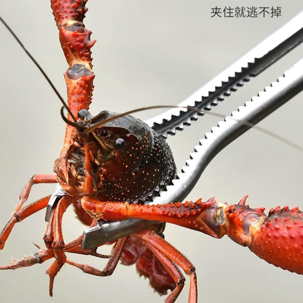 螃蟹夹子赶海长钳子带齿抓泥鳅龙虾神器防滑黄鳝钳取木炭捡垃圾夹定制