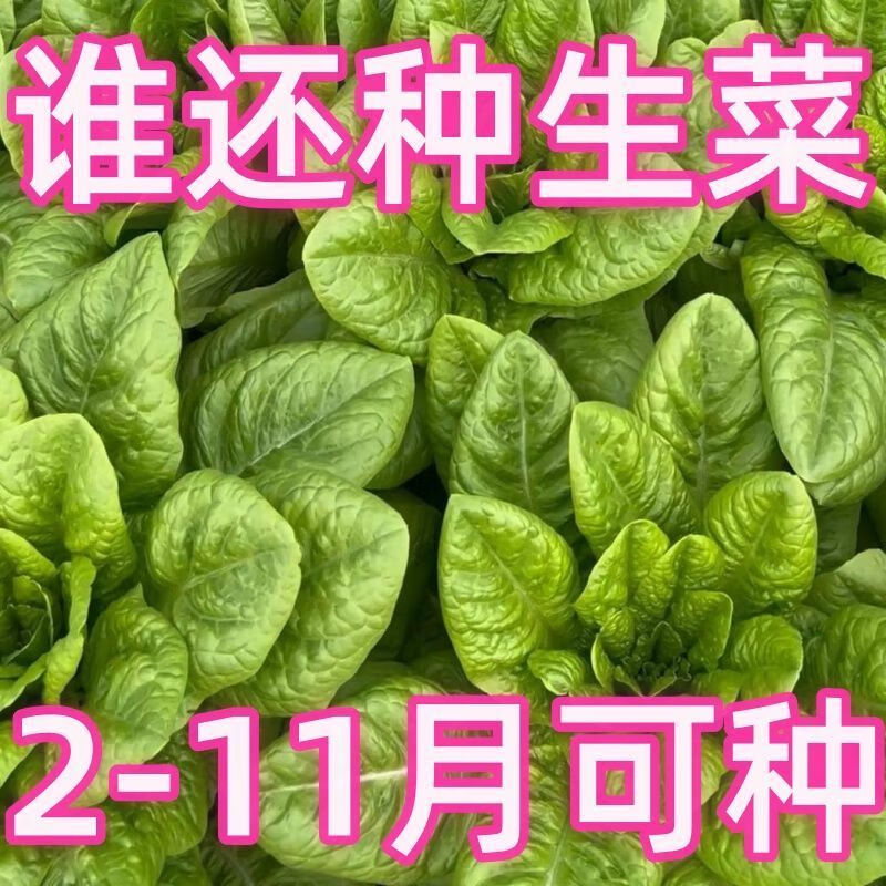8ee212066fb620ee.jpg