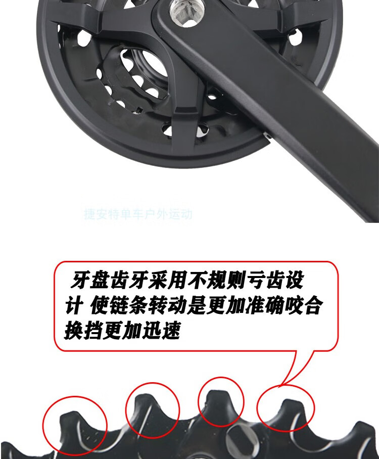 c204ec718a639dcc.jpg