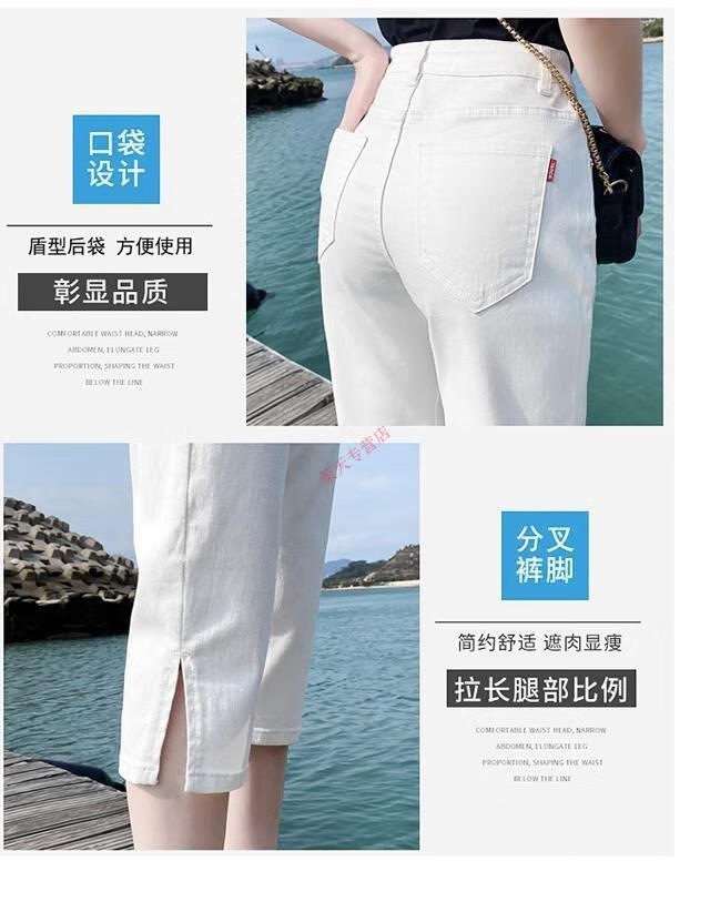 2a8d3618b9c7420b.jpg' style=