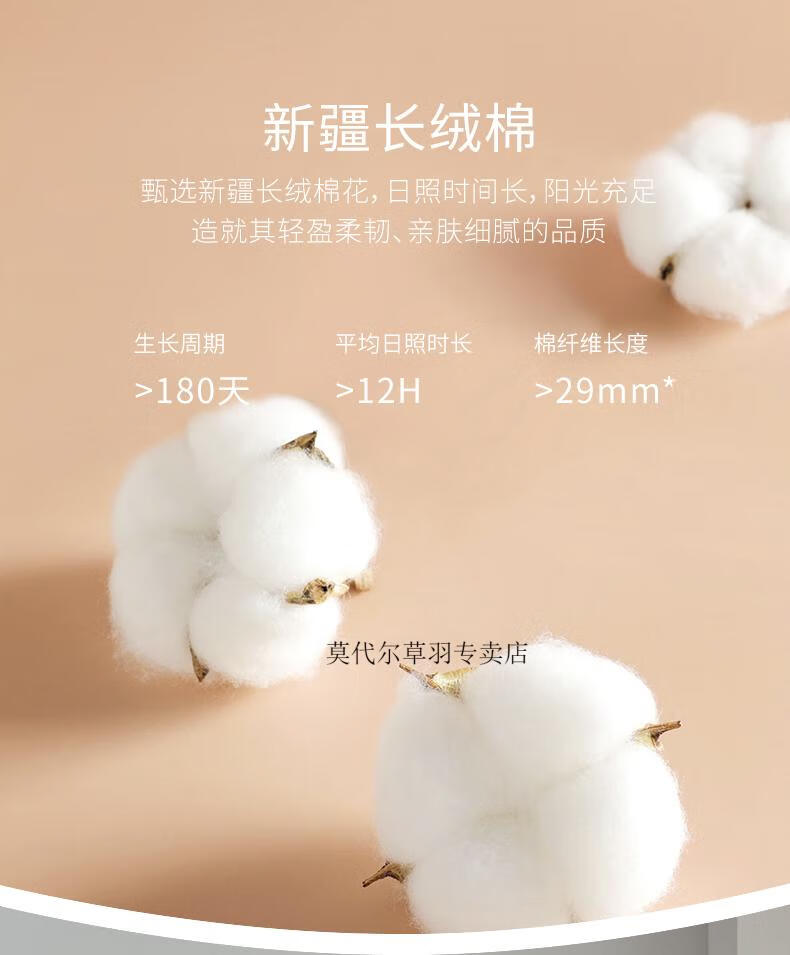 e692a2925e218a17.jpg