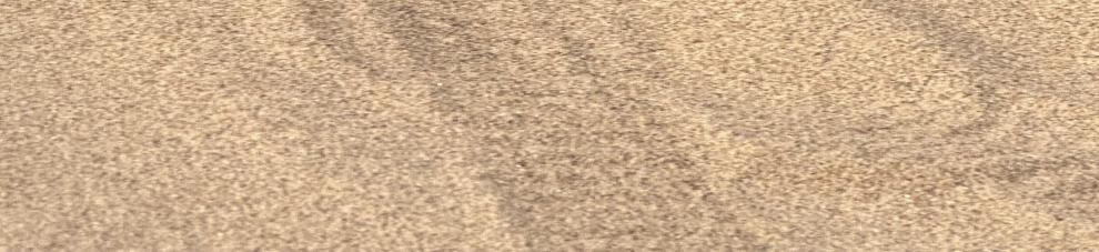 978827e0e58dfb27.jpg
