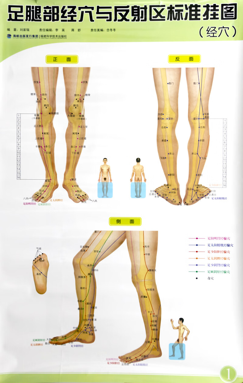 挂图 足腿部反射区足底按摩穴位图挂图健康疗法 人体经络穴位图海报图