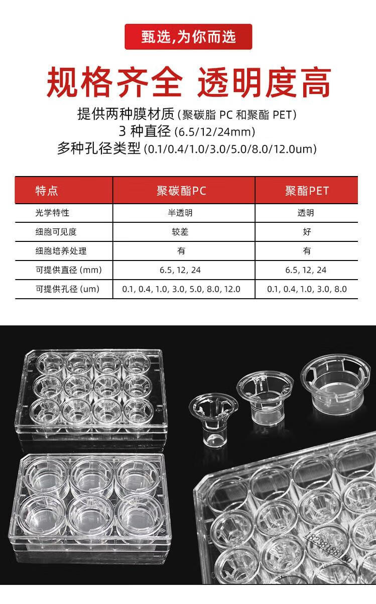 d758333b54cc2aff.jpg