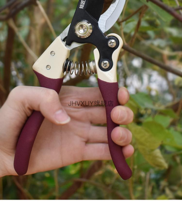 2022新款日本进口盆景修枝剪刀德国果树剪枝剪刀树粗枝花草修枝剪家用