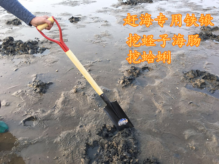 不锈钢小耙子沙滩挖蛤蜊海鲜花蛤蚬子蛏子螺赶海工具套装 1号铲(每人