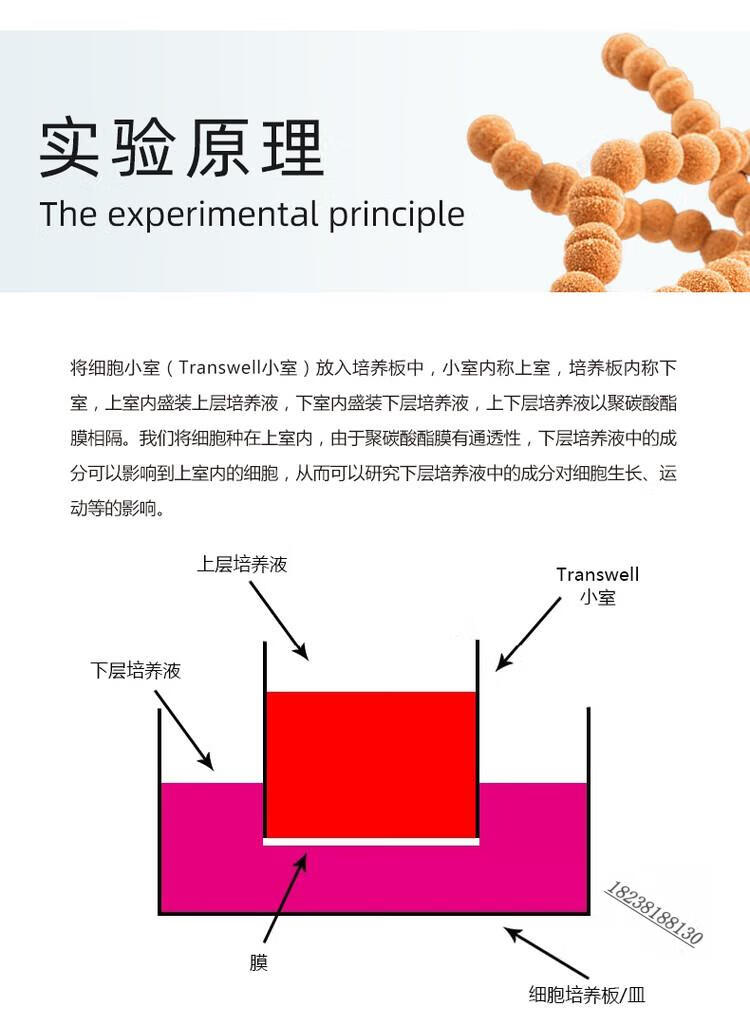 1d32f166a984db7c.jpg
