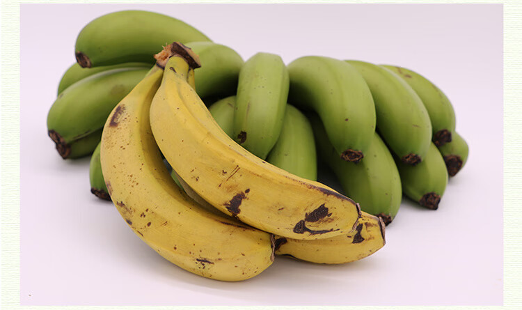 可送货上门】云南河口高山自然熟绿皮天宝甜香蕉新鲜大个10斤一箱水果
