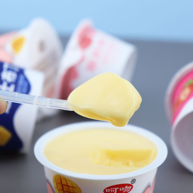 云舵 酸奶布丁冻学生营养早餐代餐含乳型冻大杯鲜奶甜品儿童小零食