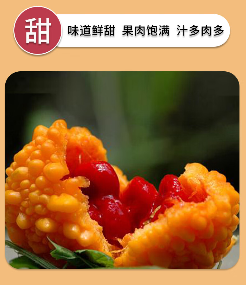 玫栀 顺丰 苏州特产金铃子赖葡萄新鲜水果黄金果3斤装 1500g【图片