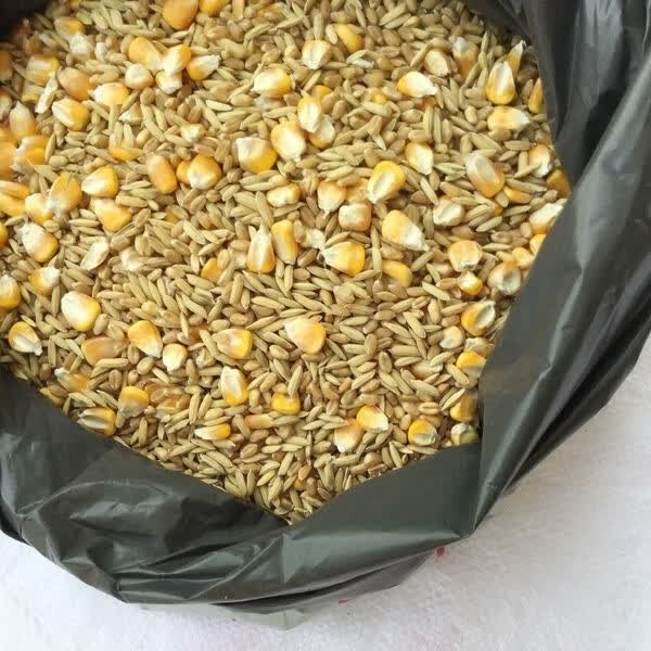 杂粮喂鸡养鸡饲料鸽鸡鸭鹅鸟食动物饲料5斤装 十八斤大玉米粒【图片