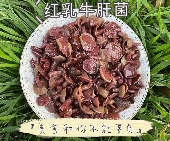 红乳牛肝菌1000g盐渍菌 云南产 蘑菇滑嫩爽口土产涮火锅【图片 价格