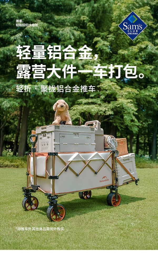 9879baa5260918b4.jpg"