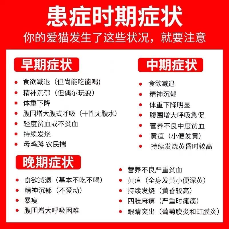 441fipv猫传腹针剂检测传染性腹膜炎治疗检测剂腹水干湿性 口服片剂