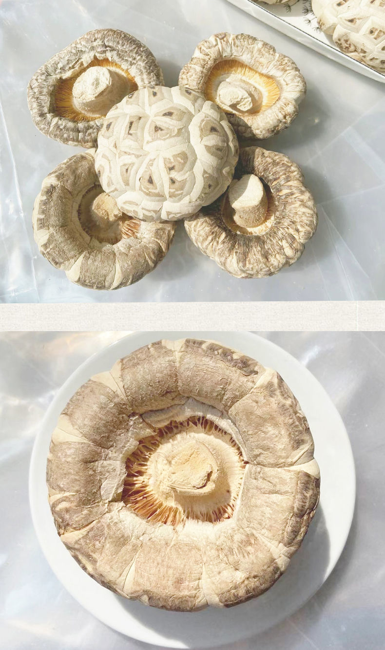 fghgf 大花菇特大号肉厚香菇特级剪脚大个花菇新货冬菇干香菇干货 500