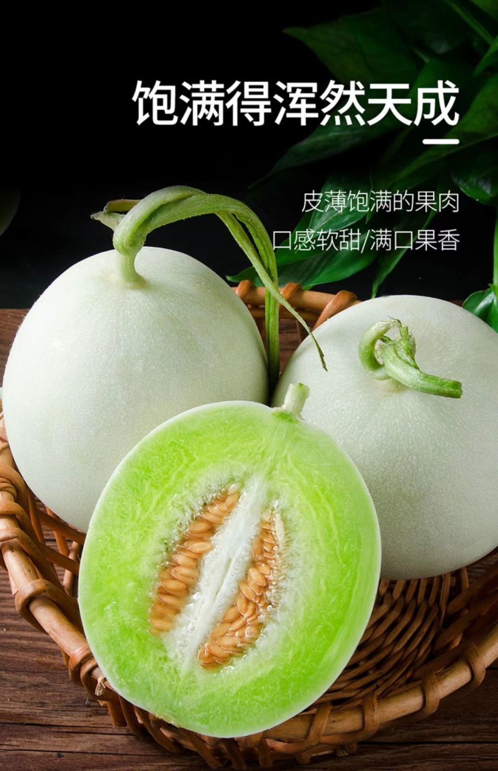 夕张王甜瓜 甜瓜玉茹蜜瓜 新鲜应季水果 超甜薄皮脆瓜香瓜 整箱9-10斤