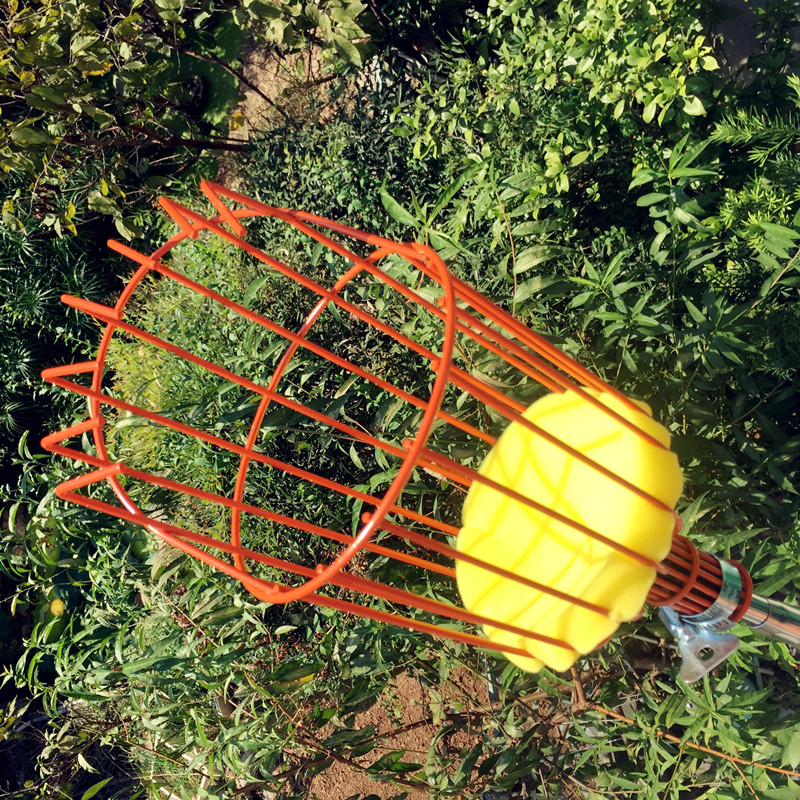摘果神器摘果神器木瓜石榴芒果柿子园林高空采果工具伸缩杆杏苹果李梨