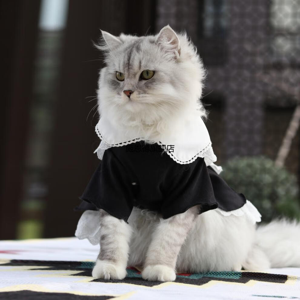 jk猫咪衣服jk裙子女仆装制服春夏季可爱猫猫裙子变身装小猫宠物连衣裙