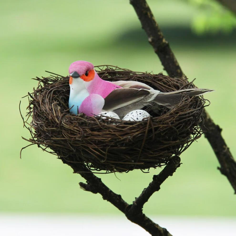 10033275367738商品名称:【迎新必备】仿真小鸟花园庭院客厅摆件幼儿