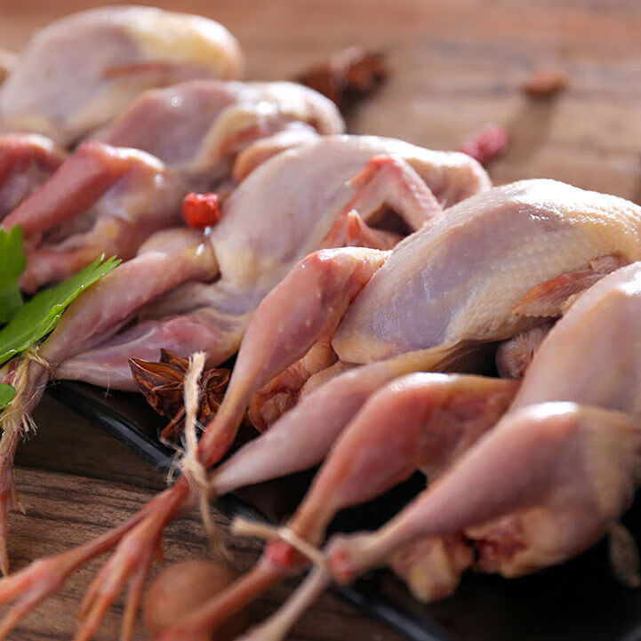 康胜谊 散养大鹌鹑农家母鹌鹑批发生鲜去内脏烧烤冷冻 鹌鹑【3-3.