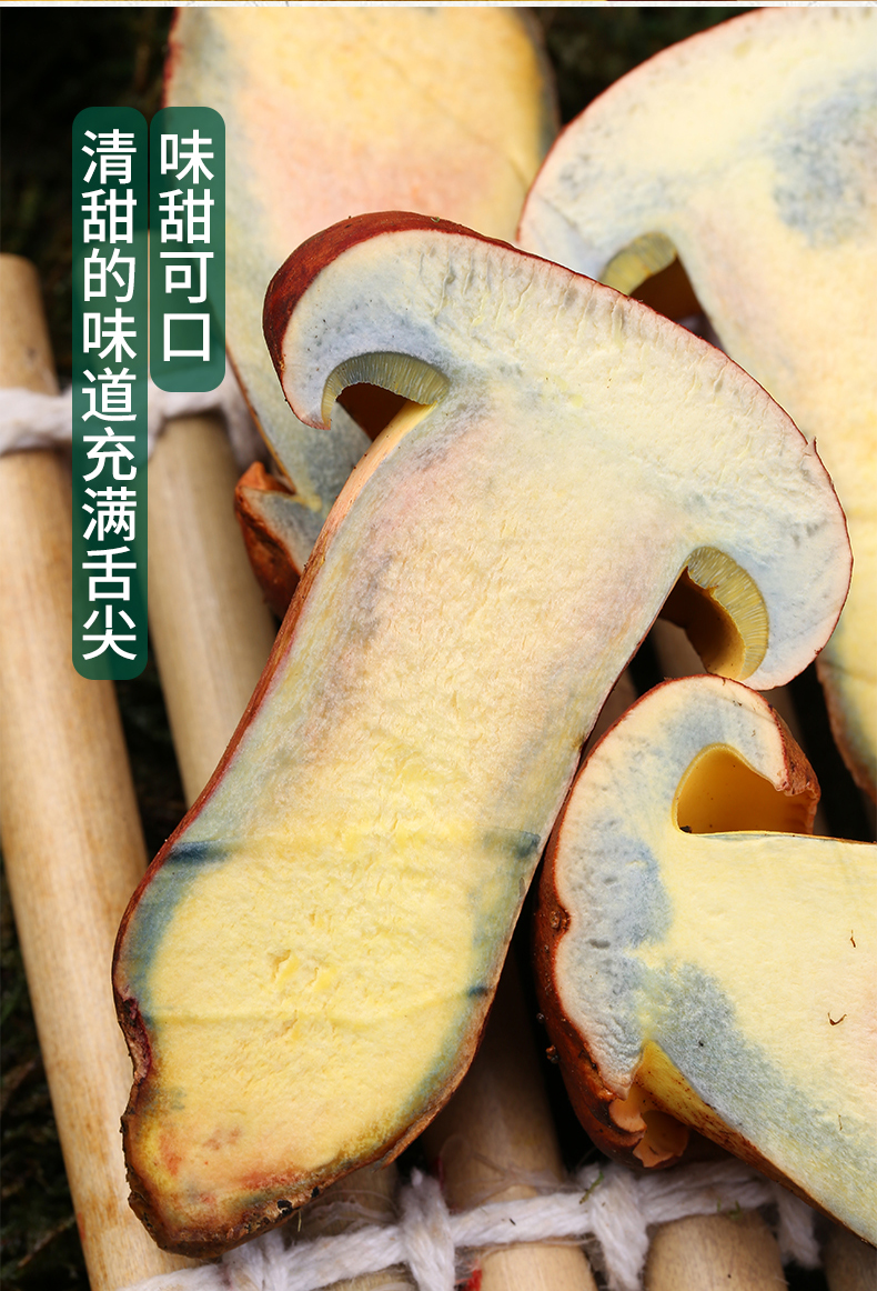 【现货】新鲜野生红葱菌见手青500g 云南当季时令牛肝菌蘑菇顺丰 红葱