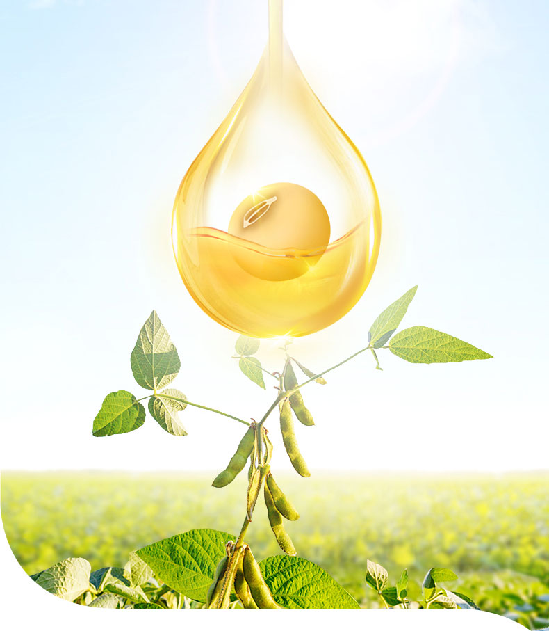 金龙鱼精选大豆油5升食用油桶装家用植物油一级豆油炒菜