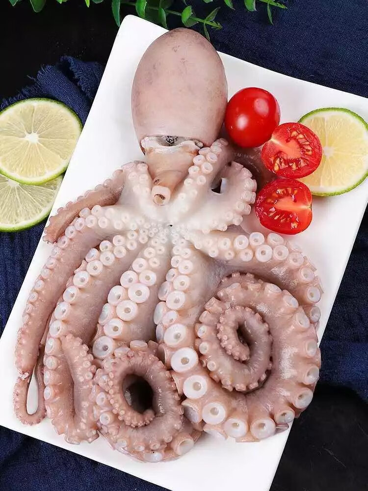 爆头大长腿八爪鱼新鲜鲜活大长腿八爪鱼海捕大长腿八爪鱼 长腿八爪鱼