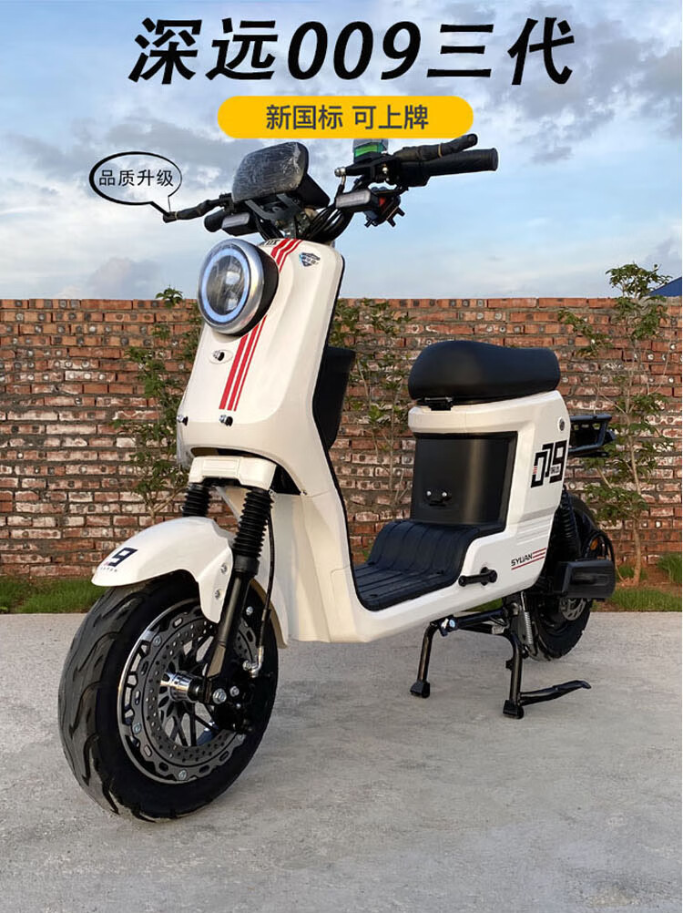 深远009新国标电动自行车外卖锂电池电瓶车长跑王高速送餐009三代