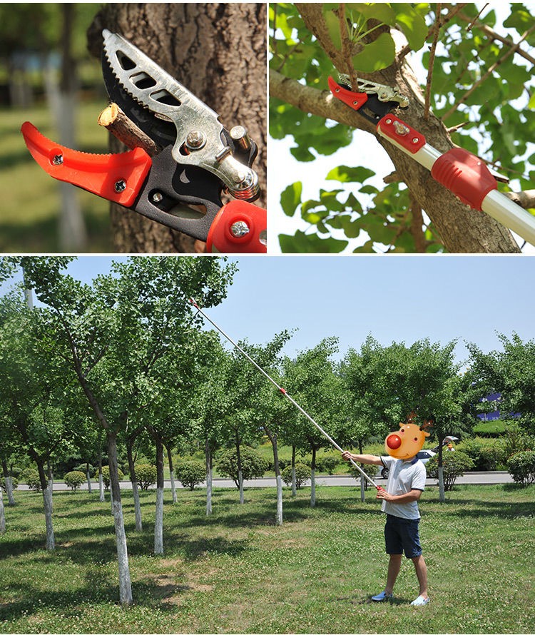 摘枇杷工具伸缩高空伸缩修枝剪锯摘果器专门到树上采摘荔枝龙眼枇杷